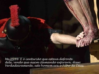   A festa dos pães asmos (Êx 12. 17)