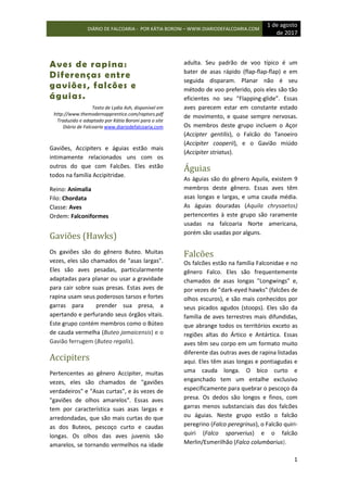 DIÁRIO DE FALCOARIA - POR KÁTIA BORONI – WWW.DIARIODEFALCOARIA.COM
1 de agosto
de 2017
1
Aves de rapina:
Diferenças entre
gaviões, falcões e
águias.
Texto de Lydia Ash, disponível em
http://www.themodernapprentice.com/raptors.pdf
Traduzido e adaptado por Kátia Boroni para o site
Diário de Falcoaria www.diariodefalcoaria.com
Gaviões, Accipiters e águias estão mais
intimamente relacionados uns com os
outros do que com Falcões. Eles estão
todos na família Accipitridae.
Reino: Animalia
Filo: Chordata
Classe: Aves
Ordem: Falconiformes
Gaviões (Hawks)
Os gaviões são do gênero Buteo. Muitas
vezes, eles são chamados de "asas largas".
Eles são aves pesadas, particularmente
adaptadas para planar ou usar a gravidade
para cair sobre suas presas. Estas aves de
rapina usam seus poderosos tarsos e fortes
garras para prender sua presa, a
apertando e perfurando seus órgãos vitais.
Este grupo contém membros como o Búteo
de cauda vermelha (Buteo jamaicensis) e o
Gavião ferrugem (Buteo regalis).
Accipiters
Pertencentes ao gênero Accipiter, muitas
vezes, eles são chamados de "gaviões
verdadeiros" e "Asas curtas", e às vezes de
"gaviões de olhos amarelos". Essas aves
tem por característica suas asas largas e
arredondadas, que são mais curtas do que
as dos Buteos, pescoço curto e caudas
longas. Os olhos das aves juvenis são
amarelos, se tornando vermelhos na idade
adulta. Seu padrão de voo típico é um
bater de asas rápido (flap-flap-flap) e em
seguida disparam. Planar não é seu
método de voo preferido, pois eles são tão
eficientes no seu “Flapping-glide”. Essas
aves parecem estar em constante estado
de movimento, e quase sempre nervosas.
Os membros deste grupo incluem o Açor
(Accipter gentilis), o Falcão do Tanoeiro
(Accipiter cooperii), e o Gavião miúdo
(Accipiter striatus).
Águias
As águias são do gênero Aquila, existem 9
membros deste gênero. Essas aves têm
asas longas e largas, e uma cauda média.
As águias douradas (Aquila chrysaetos)
pertencentes à este grupo são raramente
usadas na falcoaria Norte americana,
porém são usadas por alguns.
Falcões
Os falcões estão na família Falconidae e no
gênero Falco. Eles são frequentemente
chamados de asas longas "Longwings" e,
por vezes de "dark-eyed hawks" (falcões de
olhos escuros), e são mais conhecidos por
seus picados agudos (stoops). Eles são da
família de aves terrestres mais difundidas,
que abrange todos os territórios exceto as
regiões altas do Ártico e Antártica. Essas
aves têm seu corpo em um formato muito
diferente das outras aves de rapina listadas
aqui. Eles têm asas longas e pontiagudas e
uma cauda longa. O bico curto e
enganchado tem um entalhe exclusivo
especificamente para quebrar o pescoço da
presa. Os dedos são longos e finos, com
garras menos substanciais das dos falcões
ou águias. Neste grupo estão o falcão
peregrino (Falco peregrinus), o Falcão quiri-
quiri (Falco sparverius) e o falcão
Merlin/Esmerilhão (Falco columbarius).
 