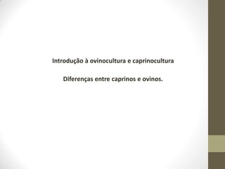 Introdução à ovinocultura e caprinocultura
Diferenças entre caprinos e ovinos.
 
