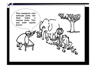 Para assegurar uma
selecção justa, vão
fazer   todos     o
mesmo teste. Têm
que subir aquela
árvore.




                      Patrícia Praça de Almeida   3
 