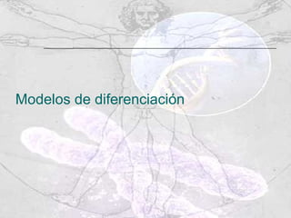 Modelos de diferenciación 