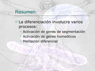 Resumen La diferenciación involucra varios procesos: Activación de genes de segmentación Activación de genes homeóticos Metilación diferencial 