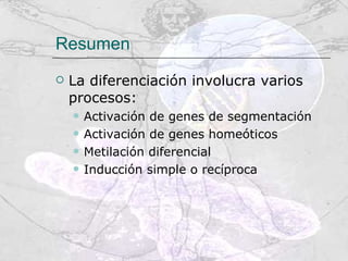 Resumen La diferenciación involucra varios procesos: Activación de genes de segmentación Activación de genes homeóticos Metilación diferencial Inducción simple o recíproca 