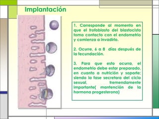 Implantación

               1. Corresponde al momento en
               que el trofoblasto del blastocisto
               toma contacto con el endometrio
               y comienza a invadirlo.

               2. Ocurre, 6 a 8 días después de
               la fecundación.

               3. Para que esto ocurra, el
               endometrio debe estar preparado,
               en cuanto a nutrición y soporte;
               siendo la fase secretora del ciclo
               sexual,           tremendamente
               importante( mantención de la
               hormona progesterona)
 