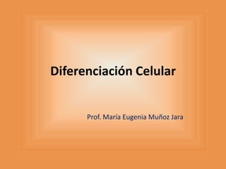 Diferenciación Celular


      Prof. María Eugenia Muñoz Jara
 