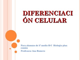 DIFERENCIACI
 ÓN CELULAR


Para alumnos de 3º medio H-C Biología plan
común
Profesora: Ana Romero
 