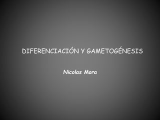 DIFERENCIACIÓN Y GAMETOGÉNESIS
Nicolas Mora
 