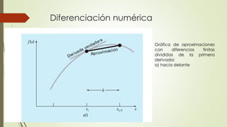 Diferenciación numérica
Gráfica de aproximaciones
con diferencias finitas
divididas de la primera
derivada:
a) hacia delante
 