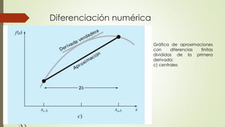 Diferenciación numérica
Gráfica de aproximaciones
con diferencias finitas
divididas de la primera
derivada:
c) centrales
 
