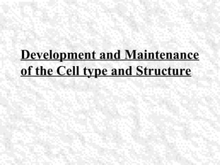 Development and Maintenance
of the Cell type and Structure
 
