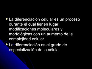  La diferenciación celular es un procesoLa diferenciación celular es un proceso
durante el cual tienen lugardurante el cual tienen lugar
modificaciones moleculares ymodificaciones moleculares y
morfológicas con un aumento de lamorfológicas con un aumento de la
complejidad celular.complejidad celular.
 La diferenciación es el grado deLa diferenciación es el grado de
especialización de la célula.especialización de la célula.
 