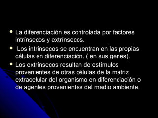  La diferenciación es controlada por factoresLa diferenciación es controlada por factores
intrínsecos y extrínsecos.intrínsecos y extrínsecos.
 Los intrínsecos se encuentran en las propiasLos intrínsecos se encuentran en las propias
células en diferenciación. ( en sus genes).células en diferenciación. ( en sus genes).
 Los extrínsecos resultan de estímulosLos extrínsecos resultan de estímulos
provenientes de otras células de la matrizprovenientes de otras células de la matriz
extracelular del organismo en diferenciación oextracelular del organismo en diferenciación o
de agentes provenientes del medio ambiente.de agentes provenientes del medio ambiente.
 