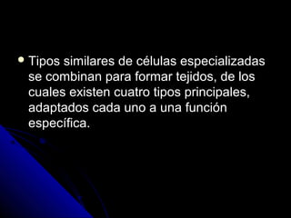  Tipos similares de células especializadasTipos similares de células especializadas
se combinan para formar tejidos, de losse combinan para formar tejidos, de los
cuales existen cuatro tipos principales,cuales existen cuatro tipos principales,
adaptados cada uno a una funciónadaptados cada uno a una función
específica.específica.
 