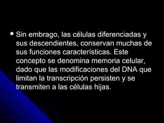  Sin embrago, las células diferenciadas ySin embrago, las células diferenciadas y
sus descendientes, conservan muchas desus descendientes, conservan muchas de
sus funciones características. Estesus funciones características. Este
concepto se denomina memoria celular,concepto se denomina memoria celular,
dado que las modificaciones del DNA quedado que las modificaciones del DNA que
limitan la transcripción persisten y selimitan la transcripción persisten y se
transmiten a las células hijas.transmiten a las células hijas.
 