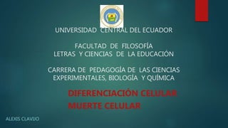 UNIVERSIDAD CENTRAL DEL ECUADOR
FACULTAD DE FILOSOFÍA
LETRAS Y CIENCIAS DE LA EDUCACIÓN
CARRERA DE PEDAGOGÍA DE LAS CIENCIAS
EXPERIMENTALES, BIOLOGÍA Y QUÍMICA
ALEXIS CLAVIJO
DIFERENCIACIÓN CELULAR
MUERTE CELULAR
 