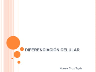 DIFERENCIACIÓN CELULAR



             Norma Cruz Tapia
 