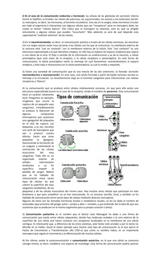 I) En el caso de la comunicación endocrina u hormonal, las células de las glándulas de secreción interna
(como la hipófisis, la tiroides, los islotes del páncreas, las suprarrenales, los ovarios y los testículos) vierten
su mensajero, es decir, las hormonas, al torrente circulatorio. Una vez en la sangre, estas hormonas circulan
por todo el organismo e interactúan con algunas células que son "receptoras" para un mensajero dado, las
cuales se llaman "células blanco". Ello indica que el mensajero es selectivo, esto es, que va dirigido
únicamente a algunas células que pueden "escucharlo". Más adelante se verá de qué depende esta
capacidad de "audición selectiva" de las células.
2) En la neurotransmisión, es decir, la comunicación química a través de las células nerviosas, las neuronas
con sus largos axones están muy cercanas a las células con las que se comunican. La membrana externa de
la neurona está "casi en contacto" con la membrana externa de la célula. Este "casi contacto" es una
estructura especializada a la que llamamos sinapsis; en ella hay un espacio (el espacio sináptico) que separa
a una célula de la otra. El flujo o sentido de la información es unidireccional y va de la neurona, o célula
presináptica (que está antes de la sinapsis), a la célula receptora o postsináptica. En esta forma de
comunicación, la célula presináptica vierte su mensaje (al cual llamaremos neurotransmisor) al espacio
sináptico, y éste viaja e interacciona con la célula postsináptica, la cual lo recibe y responde.
3) Existe una variedad de comunicación que es una mezcla de las dos anteriores: la llamada secreción
neuroendocrina o neurosecreción. En este caso, una célula formada a partir de tejido nervioso secreta su
mensaje a la circulación. La neurohormona viaja en el torrente sanguíneo para interaccionar con células
receptoras o "blanco".
4) La comunicación que se produce entre células relativamente cercanas, sin que para ello exista una
estructura especializada (como es el caso de la sinapsis), recibe el nombre de paracrina. Esta comunicación
tiene un carácter netamente
local. Pongamos un ejemplo:
imagínese que ocurre la
ruptura de un pequeño vaso
sanguíneo; inmediatamente
se produce la liberación de
algunos compuestos
(mensajeros) que ocasionan
una agregación de plaquetas
en el sitio de ruptura. Las
plaquetas, a su vez, secretan
una serie de mensajeros que
van a producir nuevos
efectos: harán que otras
plaquetas se agreguen,
favoreciendo la formación de
un coágulo, y estimularán la
contracción de las células
musculares del vaso
sanguíneo. Todo ello es un
organizado sistema de
señales intercelulares
tendientes a un fin
específico: impedir la
pérdida de sangre. Nótese
que se ha hablado de
comunicación entre varios
tipos de células: las que
cubren la superficie del vaso
sanguíneo (endotelio), de las
plaquetas y de las células musculares del mismo vaso. Hay muchas otras células que participan en este
fenómeno y que para simplificar no se han mencionado. Es un proceso sencillo, local, y también se ha
hablado de comunicación entre varios tipos de células mediante diversos mensajeros.
Algunos de éstos son las llamadas hormonas locales o mediadores locales; se les ha dado el nombre de
autacoides (que proviene del griego autos = propia y akos = remedio, y que pretende dar la idea de que son
sustancias que se producen en el mismo organismo para su propia curación o alivio).
5) Comunicación yuxtacrina es el nombre que el doctor Joan Massagué ha dado a una forma de
comunicación que existe entre células adyacentes, donde hay moléculas andadas a la cara externa de la
superficie de una célula que hacen contacto con receptores localizados en la membrana de una célula
contigua. Es interesante que, a diferencia de los otros sistemas, este factor esté anclado y por lo tanto no
difunde en el medio. Quizá el mejor ejemplo para ilustrar este tipo de comunicación es el que ejerce el
Factor de Crecimiento y Transformación alfa (TGF-a) que como su nombre indica, es un importante
mensajero que regula el crecimiento y la diferenciación de muchas células.
6) Por último, existe la autocomunicación o comunicación autocrina, en la que una célula se comunica
consigo misma, es decir, establece una especie de monólogo. Esta forma de comunicación podría parecer
 
