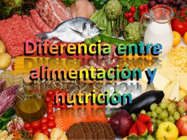 Diferencia entre alimentación y nutrición (4)