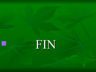 FIN 