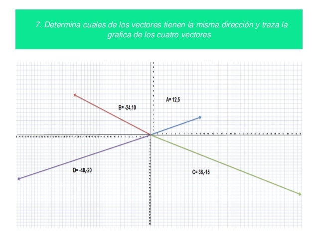 Diferencia entre escala y vector