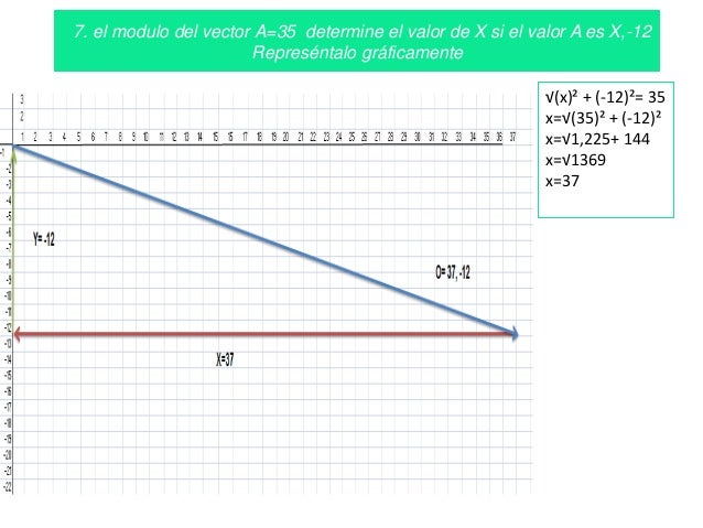Diferencia entre escala y vector