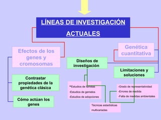 Contrastar propiedades de la genética clásica Cómo actúan los genes Efectos de los genes y cromosomas Diseños de investigación   Genética cuantitativa - Estudios de familias Estudios de gemelos -Estudios de adopciones -Grado de representatividad -Errores de medida  -Falta de medidas ambientales Técnicas estadísticas multivariadas LÍNEAS DE INVESTIGACIÓN ACTUALES Limitaciones y soluciones 