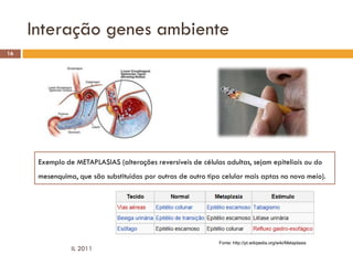 Interação genes ambiente
16




      Exemplo de METAPLASIAS (alterações reversíveis de células adultas, sejam epiteliais ou do
      mesenquima, que são substituídas por outras de outro tipo celular mais aptas no novo meio).




                                                               Fonte: http://pt.wikipedia.org/wiki/Metaplasia
                IL 2011
 