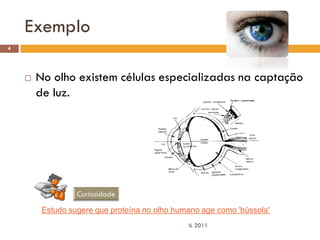 Exemplo
4




       No olho existem células especializadas na captação
        de luz.




         Estudo sugere que proteína no olho humano age como 'bússola'
                                               IL 2011
 