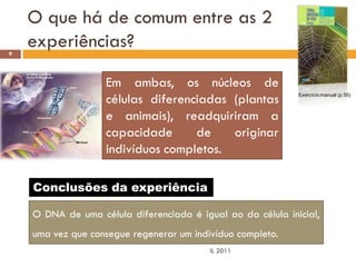 O que há de comum entre as 2
9
    experiências?

                   Em ambas, os núcleos de
                   células diferenciadas (plantas            Exercício manual (p.55)



                   e animais), readquiriram a
                   capacidade      de    originar
                   indivíduos completos.

    Conclusões da experiência

    O DNA de uma célula diferenciada é igual ao da célula inicial,
    uma vez que consegue regenerar um indivíduo completo.
                                          IL 2011
 
