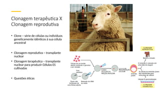 Clonagem terapêutica X
Clonagem reprodutiva
• Clone – série de células ou indivíduos
geneticamente idênticos à sua célula
ancestral
• Clonagem reprodutiva – transplante
nuclear
• Clonagem terapêutica – transplante
nuclear para produzir Células ES
cultivadas
• Questões éticas
 