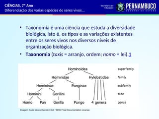 Diferenciação das várias espécies de seres vivos a partir de sua ...
