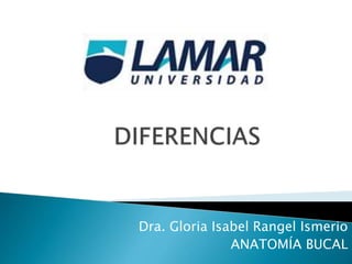 Dra. Gloria Isabel Rangel Ismerio
ANATOMÍA BUCAL
 