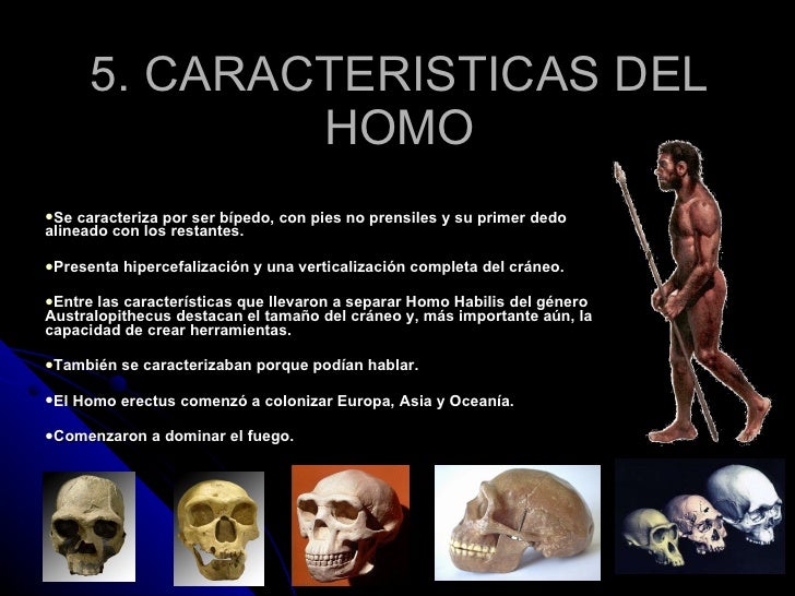Librarse de la dependencia alcohólica de la casa
