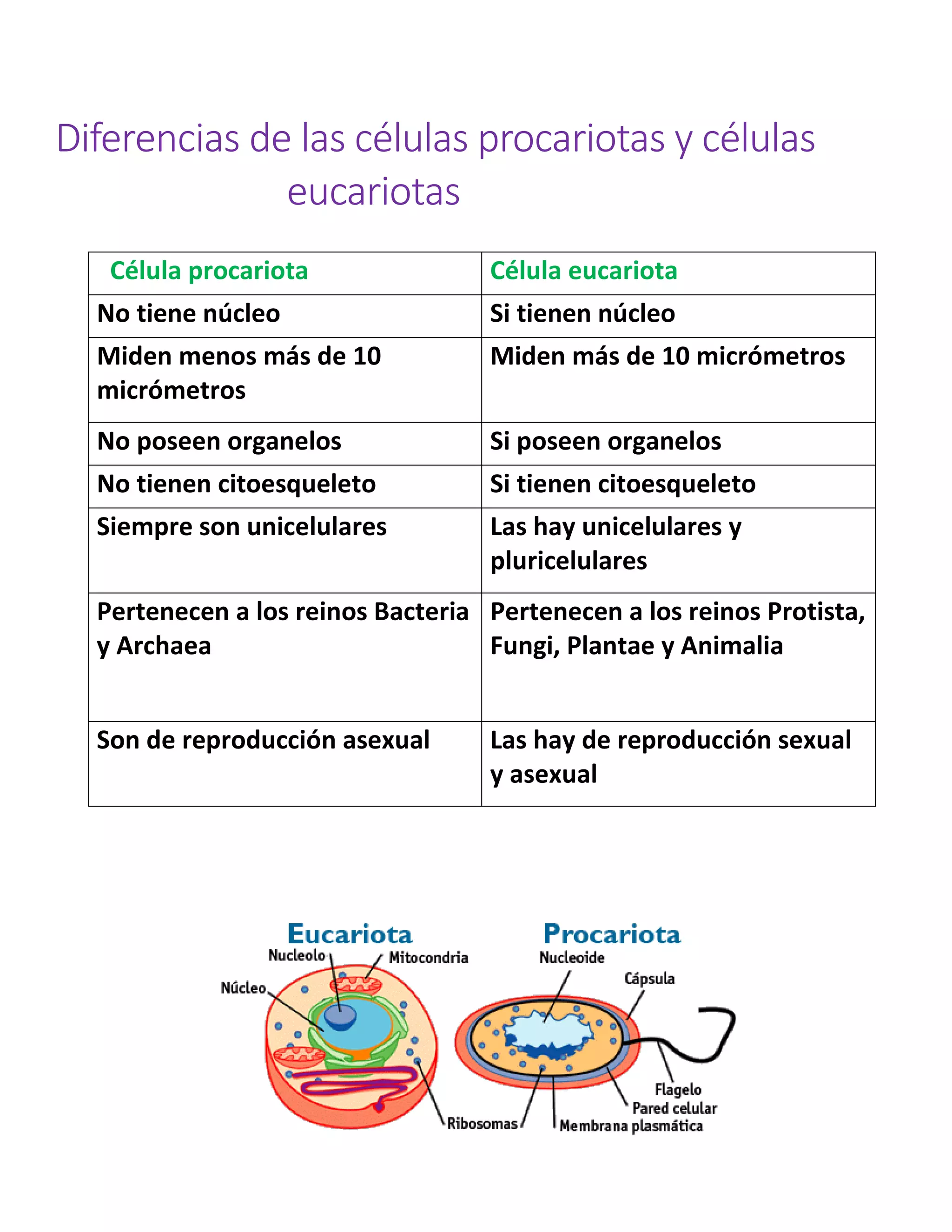 Diferencias de las células procariotas y células eucariotas | PDF