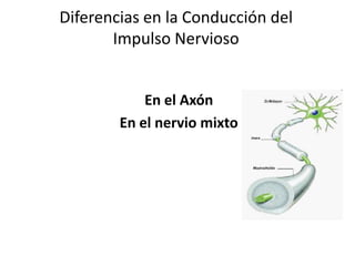 Diferencias en la Conducción del
       Impulso Nervioso


            En el Axón
        En el nervio mixto
 