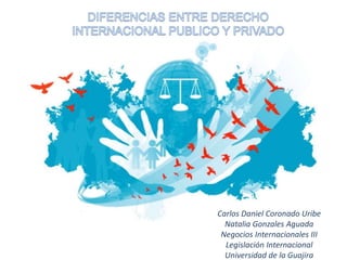 Carlos Daniel Coronado Uribe
Natalia Gonzales Aguada
Negocios Internacionales III
Legislación Internacional
Universidad de la Guajira
 