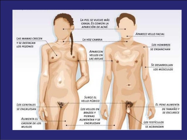 Los récords ginnesa un pequeño pene
