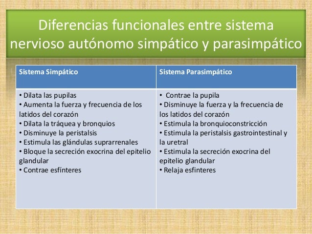 Resultado de imagen para comparacion del sistema simpatico y parasimpatico