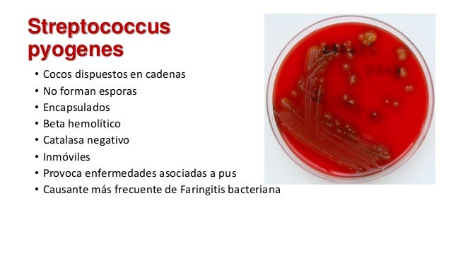 dieta del metabolismo 13 dias simptoms