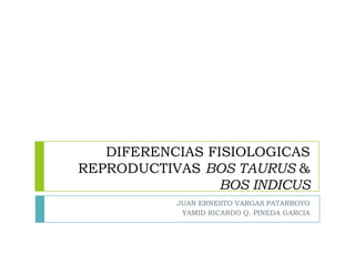 DIFERENCIAS FISIOLOGICAS
REPRODUCTIVAS BOS TAURUS &
BOS INDICUS
JUAN ERNESTO VARGAS PATARROYO
YAMID RICARDO Q. PINEDA GARCIA

 