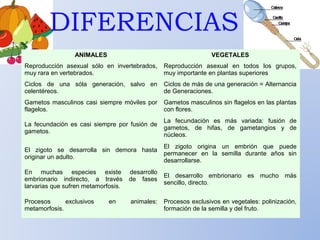 Ineficiente sala Chorrito Diferencias y semejanzas en la reproducción animal y vegetal
