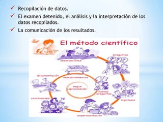    Recopilación de datos.
   El examen detenido, el análisis y la interpretación de los
    datos recopilados.
   La comunicación de los resultados.
 
