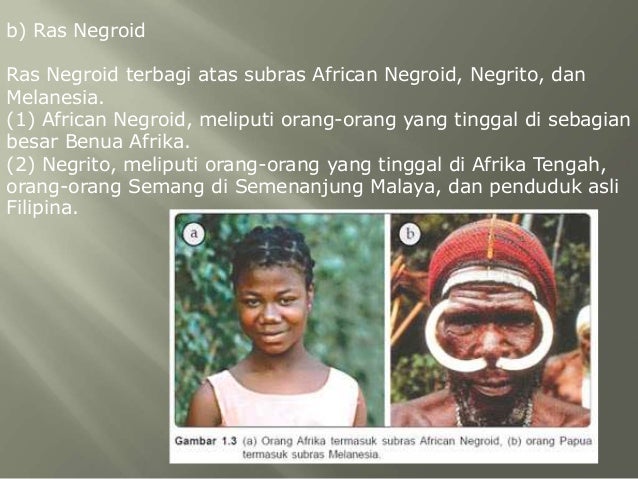 Diferensiasi Soial Sosiologi