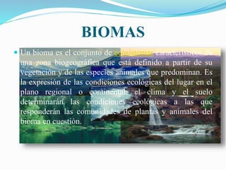 BIOMAS 
 Un bioma es el conjunto de ecosistemas característicos de 
una zona biogeográfica que está definido a partir de su 
vegetación y de las especies animales que predominan. Es 
la expresión de las condiciones ecológicas del lugar en el 
plano regional o continental: el clima y el suelo 
determinarán las condiciones ecológicas a las que 
responderán las comunidades de plantas y animales del 
bioma en cuestión. 
 