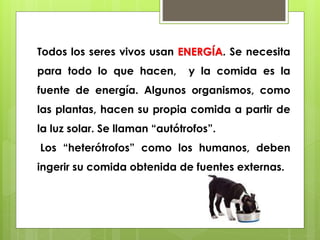 Todos los seres vivos usan ENERGÍA. Se necesita 
para todo lo que hacen, y la comida es la 
fuente de energía. Algunos organismos, como 
las plantas, hacen su propia comida a partir de 
la luz solar. Se llaman “autótrofos”. 
Los “heterótrofos” como los humanos, deben 
ingerir su comida obtenida de fuentes externas. 
 