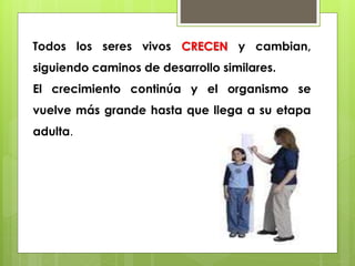Todos los seres vivos CRECEN y cambian, 
siguiendo caminos de desarrollo similares. 
El crecimiento continúa y el organismo se 
vuelve más grande hasta que llega a su etapa 
adulta. 
 