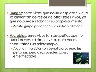  Hongos: seres vivos que no se desplazan y que 
se alimentan de restos de otros seres vivos, ya 
que no pueden fabricar su propio alimento. 
 A este grupo pertenecen las setas y el moho. 
 Microbios: seres vivos tan pequeños que no 
pueden verse a simple vista, para verlos 
necesitamos un microscopio. 
 Algunos microbios son beneficiosos para las 
personas, pero otros pueden causar 
enfermedades. 
 