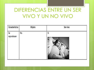 DIFERENCIAS ENTRE UN SER 
VIVO Y UN NO VIVO 
 