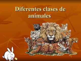 Diferentes clases de animales  