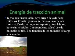 Energía de tracción animal
 Tecnología sustentable, cuyo origen data de hace
milenios. Constituye una alternativa eficaz para la
preparación de tierras, el transporte y otras labores
agrícolas y sociales. Comprende no solo el uso de
animales de tiro, sino también de los animales de carga
y de monta.
 